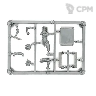 Описание картинки PRIESTESS AND MAN CATCHERS от TPC по цене 1 040руб | Свободный Рынок Миниатюр - СРМ