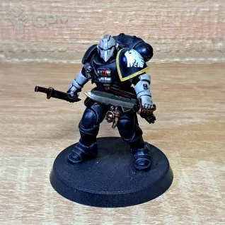 Описание картинки Raven Guard Vanguard Army от Oni Chase по цене 25 000руб | Свободный Рынок Миниатюр - СРМ