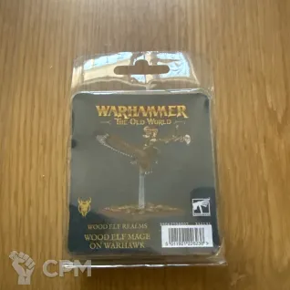 Описание картинки Wood Elf Mage on Warhawk от zurdo по цене 6 300руб | Свободный Рынок Миниатюр - СРМ