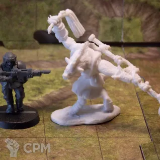 Описание картинки Гнол-жрец от Dwarf Pirate Foundry по цене 130руб | Свободный Рынок Миниатюр - СРМ