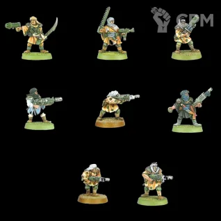 Описание картинки Tallarn Desert Raiders (old) от Орки с наГорки по цене 800руб | Свободный Рынок Миниатюр - СРМ