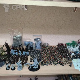Описание картинки Армия Soulblight Gravelords (распил) от Revan по цене 55 000руб | Свободный Рынок Миниатюр - СРМ