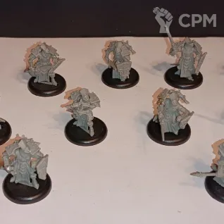 Описание картинки Отряд The Protectorate of Menoth от Samder по цене 5 000руб | Свободный Рынок Миниатюр - СРМ