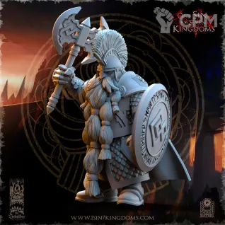 Описание картинки Highborn Warriors with Axe and Shield от Naggaroth Night по цене 250руб | Свободный Рынок Миниатюр - СРМ
