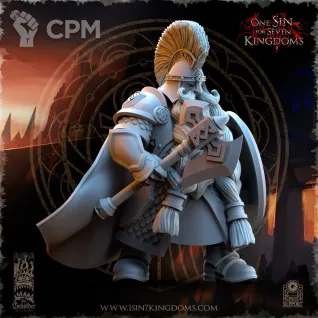 Описание картинки Highborn Warriors with Axe and Shield от Naggaroth Night по цене 250руб | Свободный Рынок Миниатюр - СРМ