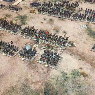 Описание картинки Игровое поле Саванна bm023A 60"х44" от WargamePrint по цене 2 450руб | Свободный Рынок Миниатюр - СРМ
