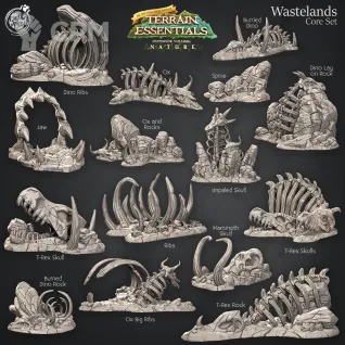 Описание картинки Wastelands Core Set от Studio Cockatoo по цене 4 500руб | Свободный Рынок Миниатюр - СРМ