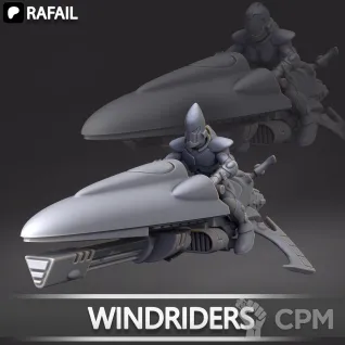 Описание картинки Windriders от Naggaroth Night по цене 1 300руб | Свободный Рынок Миниатюр - СРМ