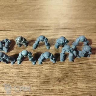 Описание картинки Wolf Guard Terminators (OOP) от Disciple по цене 3 000руб | Свободный Рынок Миниатюр - СРМ