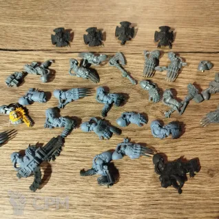 Описание картинки Wolf Guard Terminators (OOP) от Disciple по цене 3 000руб | Свободный Рынок Миниатюр - СРМ