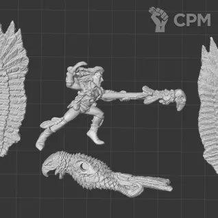 Описание картинки Wood Elf Mage on Warhawk от White Rhino по цене 399руб | Свободный Рынок Миниатюр - СРМ