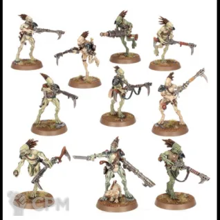 Описание картинки KROOT CARNIVORES от NEW-MINIATURES по цене 1 881руб | Свободный Рынок Миниатюр - СРМ