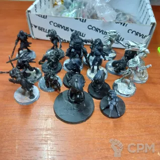 Описание картинки Армия Шасвасти+жетоны от Lord Inquisitor по цене 13 000руб | Свободный Рынок Миниатюр - СРМ