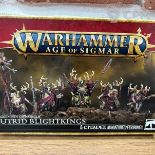 Описание картинки Putrid Blightkings от WarhammerBaby по цене 6 100руб | Свободный Рынок Миниатюр - СРМ