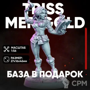 Описание картинки Миниатюра Трисс Меригольд чародейка Ведьмак для нри днд 5е от ChurcHehe 3d print по цене 542руб | Свободный Рынок Миниатюр - СРМ