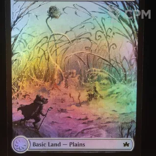 Описание картинки Plains (BLB Full Art Foil) от Барахолка Баллиоза по цене 250руб | Свободный Рынок Миниатюр - СРМ