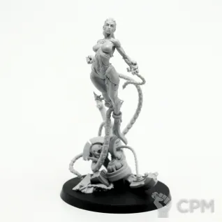 Описание картинки Миниатюра Empress of Starfall Transcendence от Артель W по цене 3 200руб | Свободный Рынок Миниатюр - СРМ
