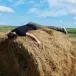 аватарка
